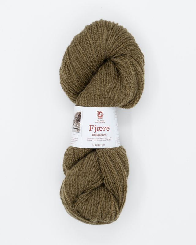 Fjære